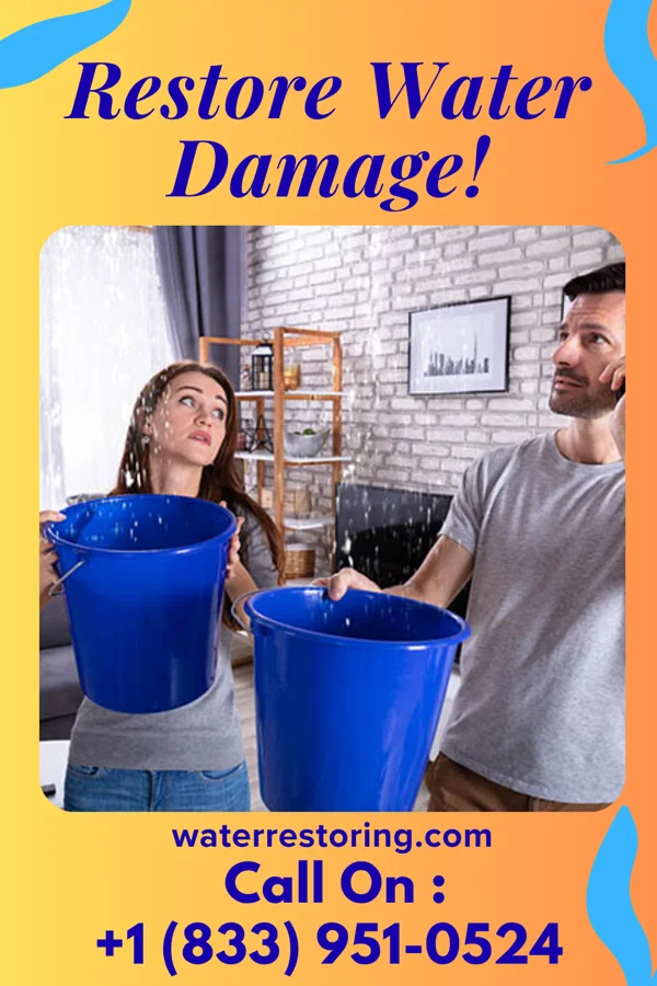 water restoration Best Water Mitigation Services Sun Prairie