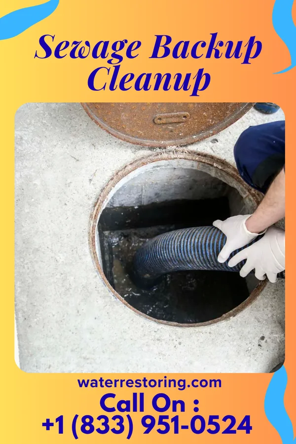 Sewage Backup Cleanup in Sun Prairie, WI
