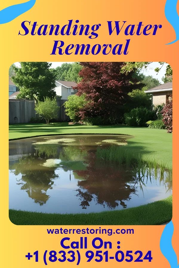 Standing Water Removal in Sun Prairie, WI